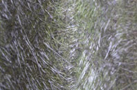 Abercorn fibreglass roof work