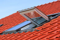 Abercorn roof window